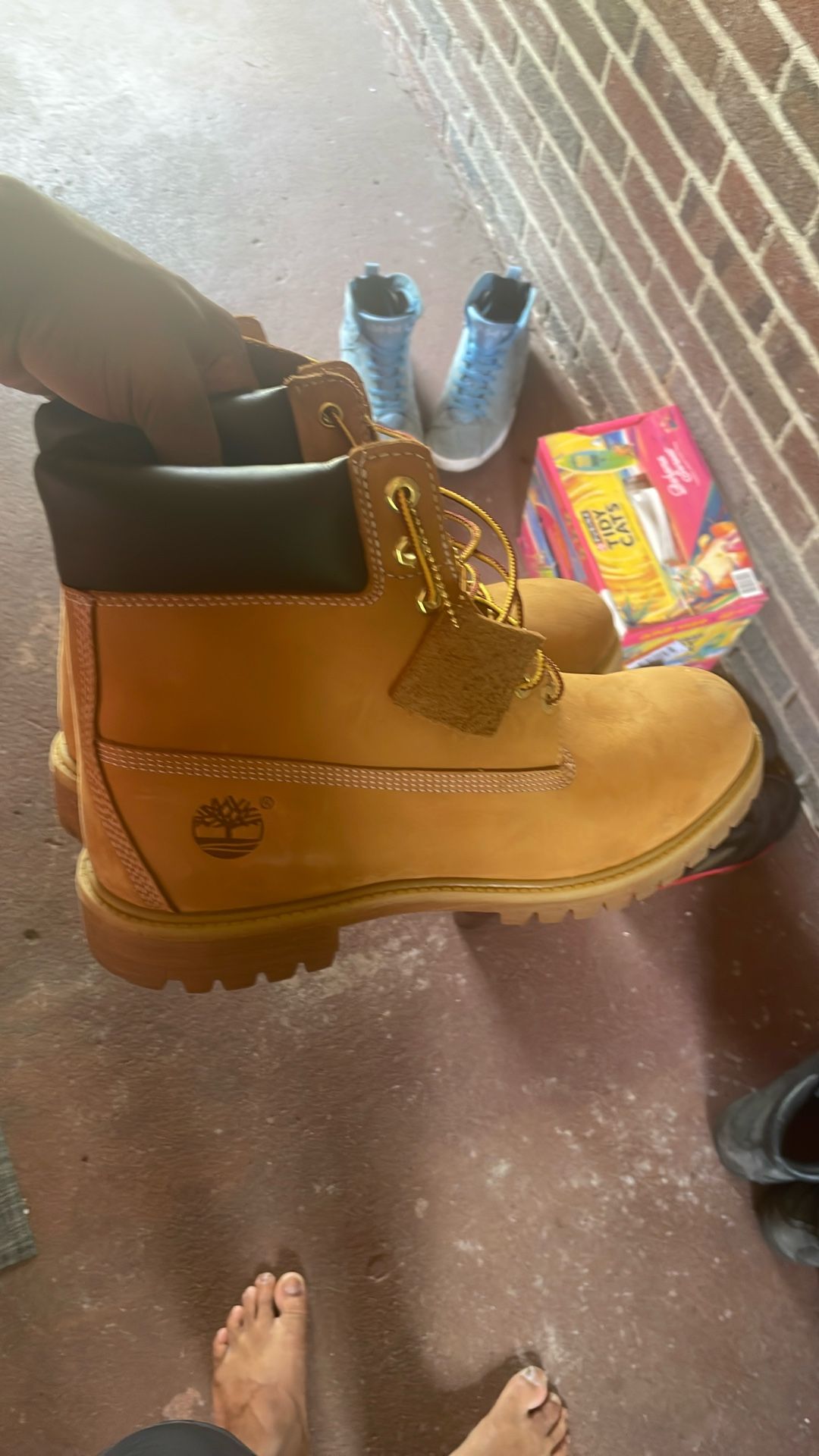 Timberlands