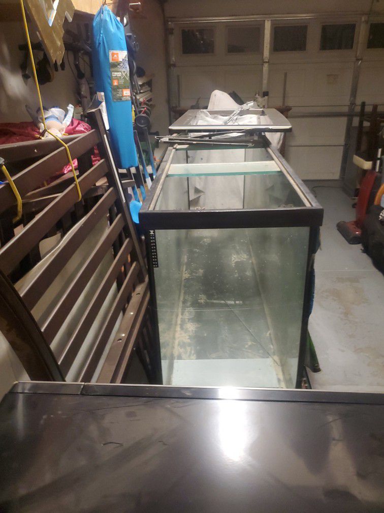 Fish Tank/terarium/ Aquarium And Cupboard Stand