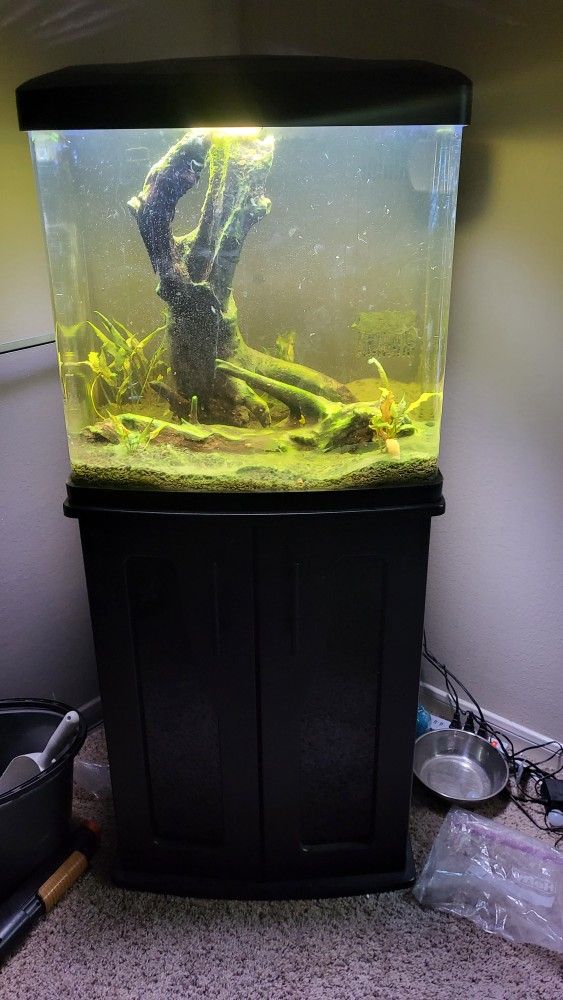 Coralife BioCube 32 Fish Tank