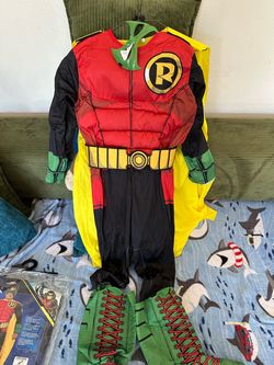 Robin child costume