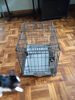 Small dog cage