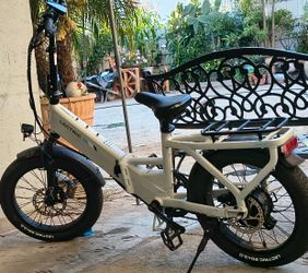 LECTRIC bike