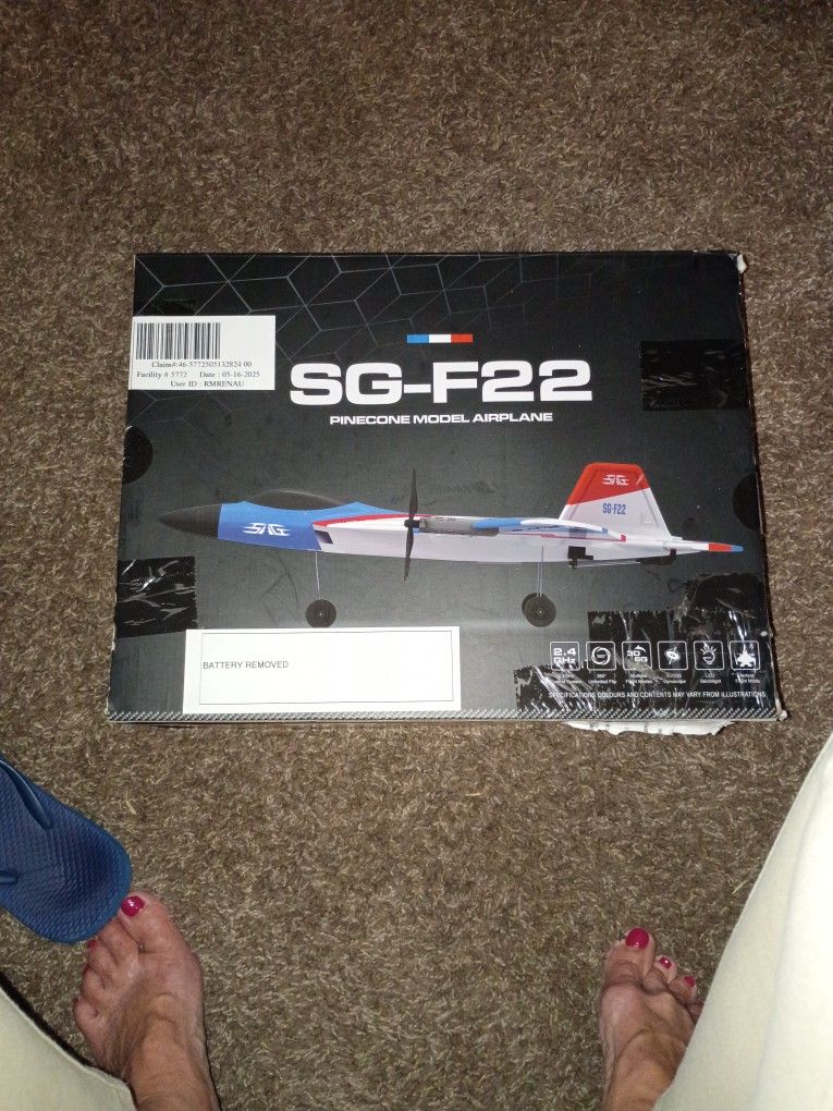 SG-F22 Pinecone Model Airplane