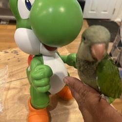Yoshi 