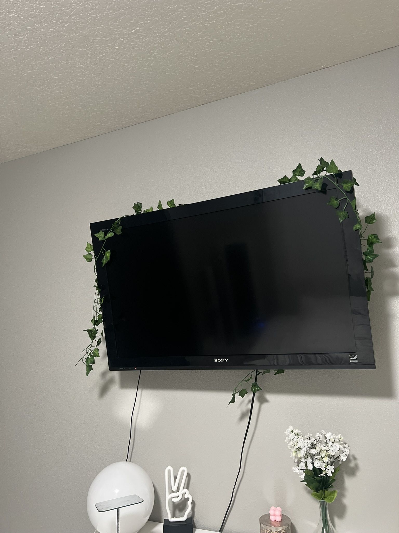 Sony Bravia Flat Screen TV