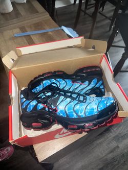 Brand new men Nike air max plus