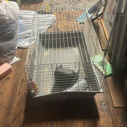 Large Guinea Pig Cage