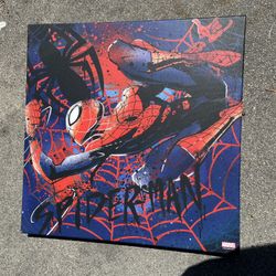 Spider man Canvas