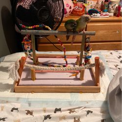 (birds Not Included ) Bird Play Pin Only With The Toys 