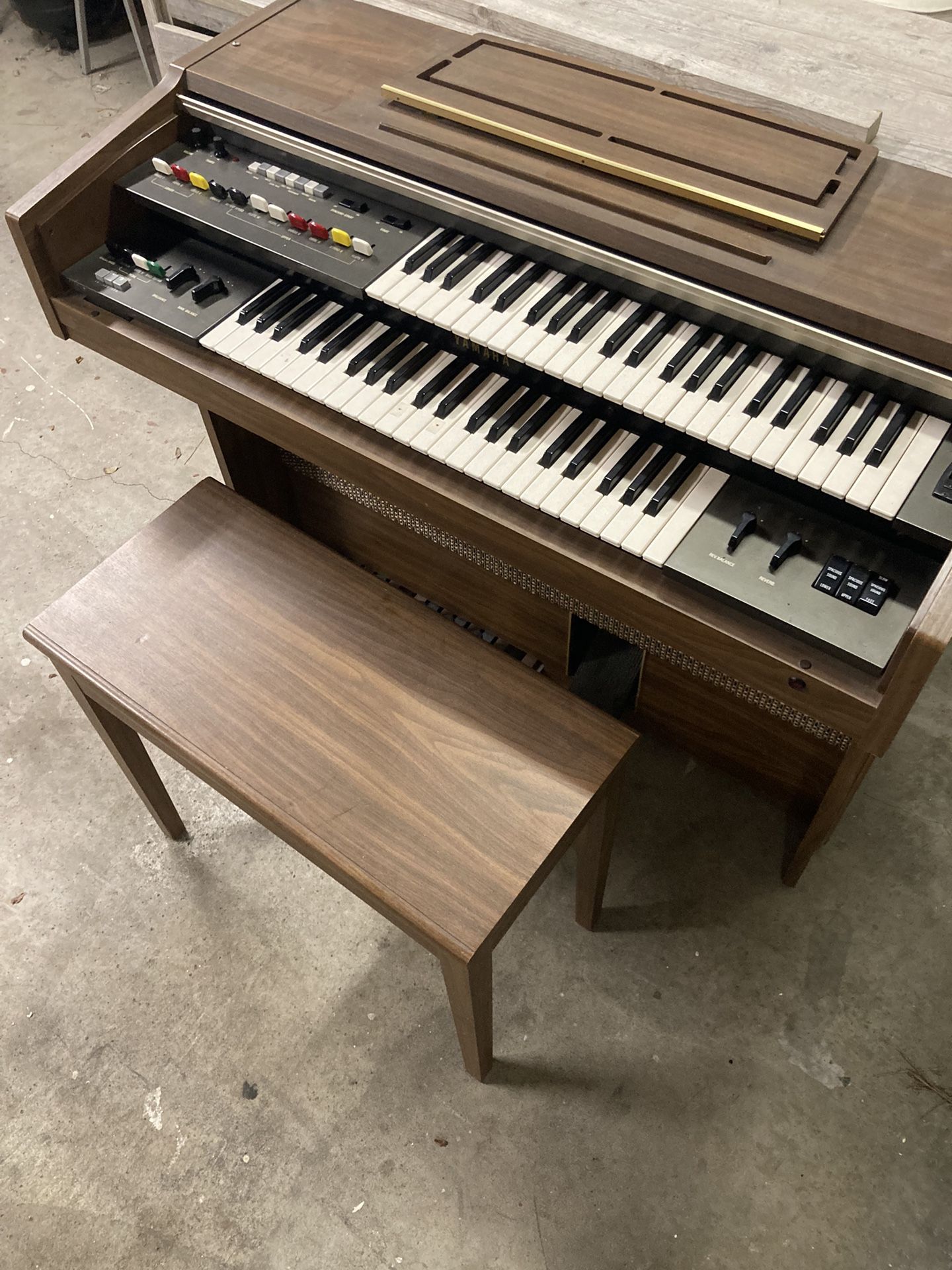Organ