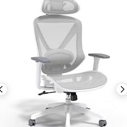 Swive Mesh Chair- Desk Chair