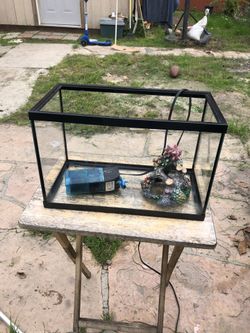 5 Gallon Fish Tank