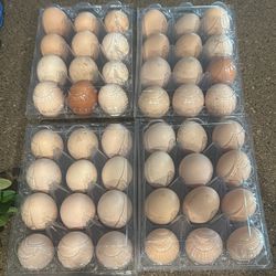 Organic Farm Fresh Eggs/Blanquillos Orgánicos 