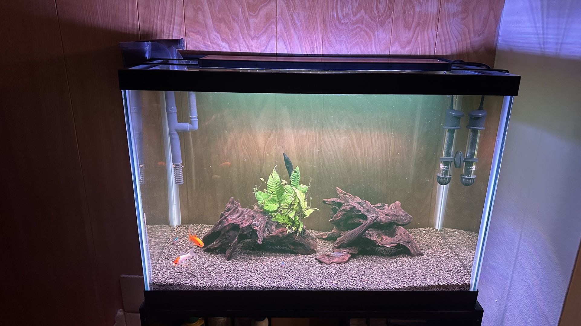 Fish Tank