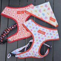 Lucy & Co Valentines Day Dog Harness And Leash