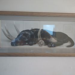 Black Lab Picture 