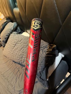 Bat