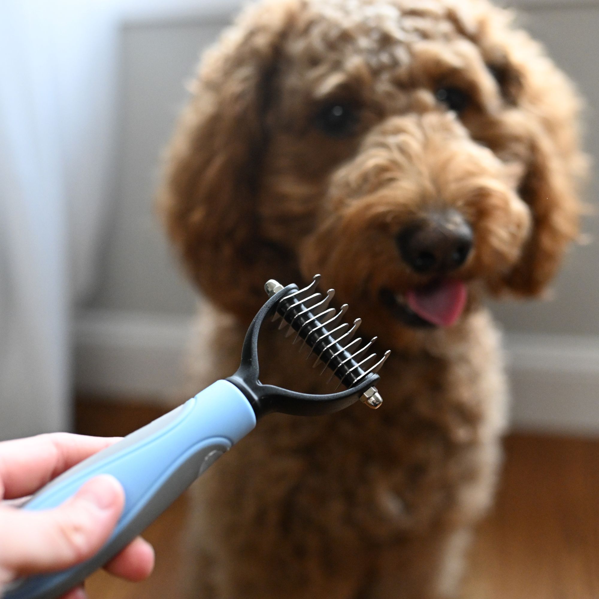 Pet Grooming Tool Comb Safe For Small To Midsize Dogs & Cats  Rake Shedding