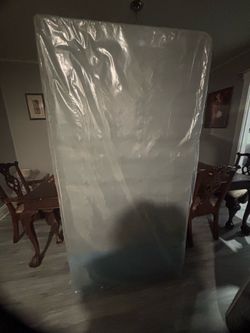 Twin Mattress and  Back spring