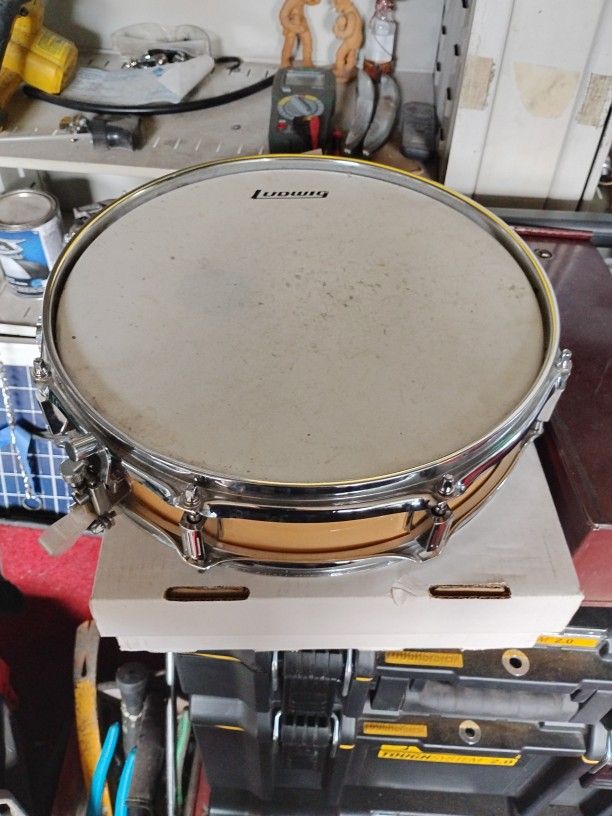 Ludwig
