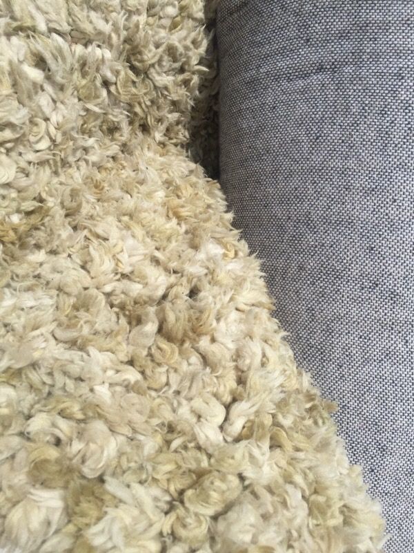 5x8 rug $40