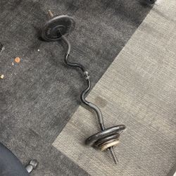 Curl Bar