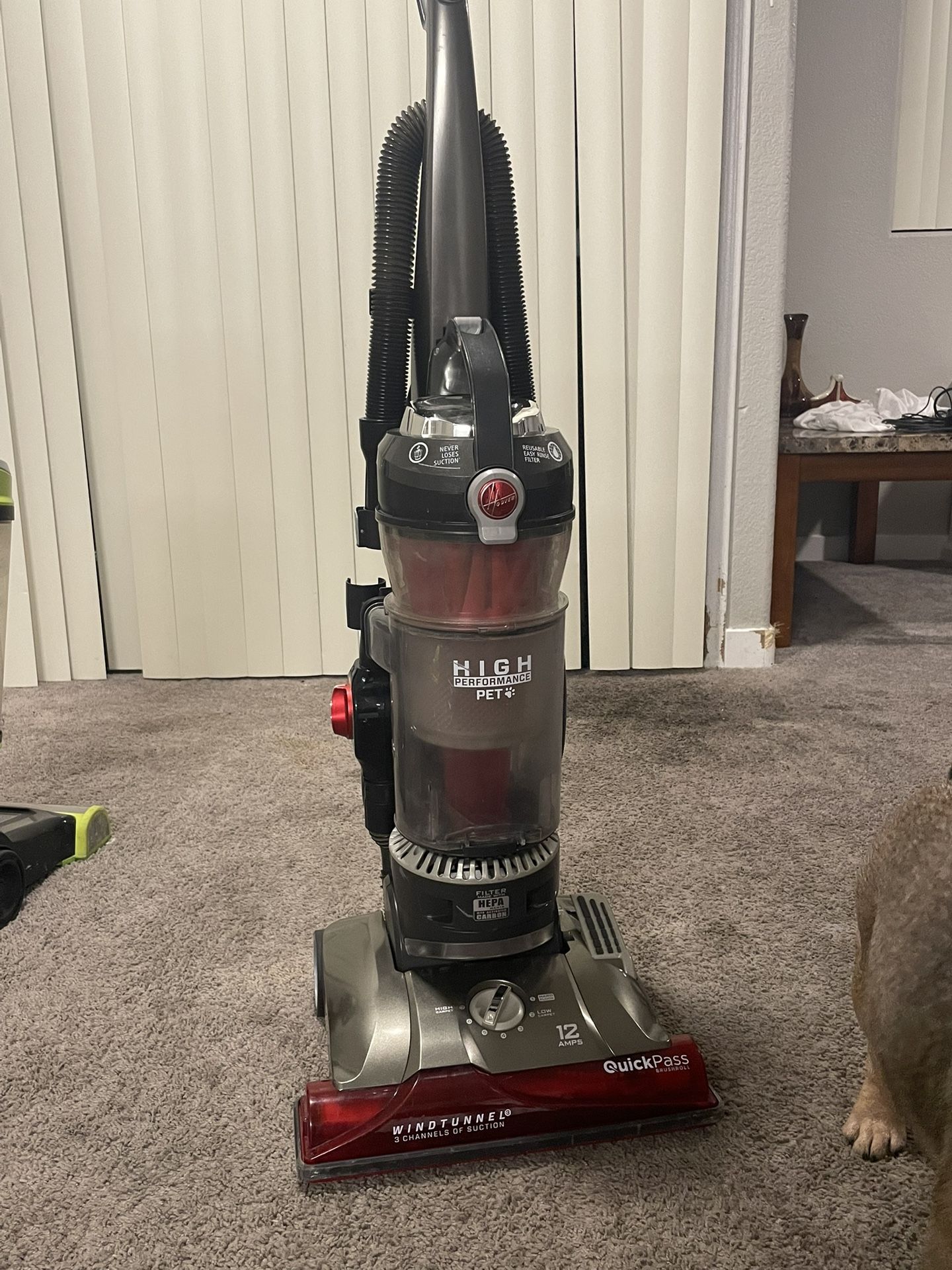 Vacuum