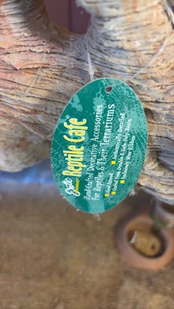 Reptile decor