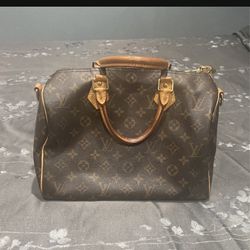 lv speedy 30 dust bag