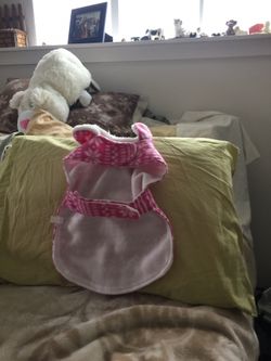 Doggy sweater medium