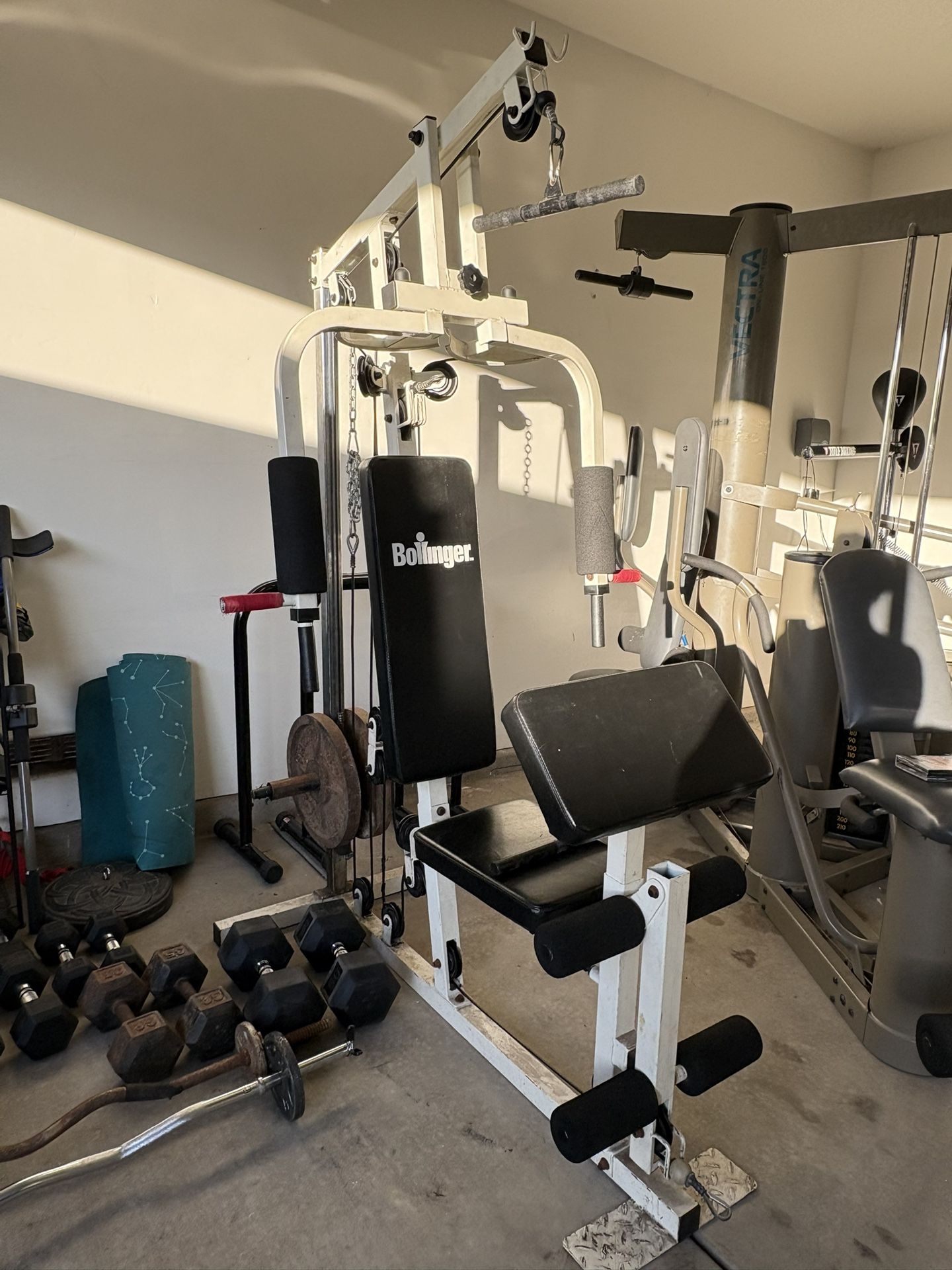 Full Body Workout Machine