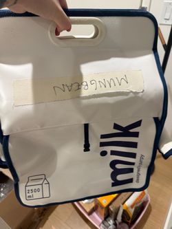 cat bag