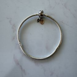 Pandora Bracelet 