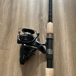 Fishing rod and Reel (Ugly Stik and EMCAST BR LT 5000-C)