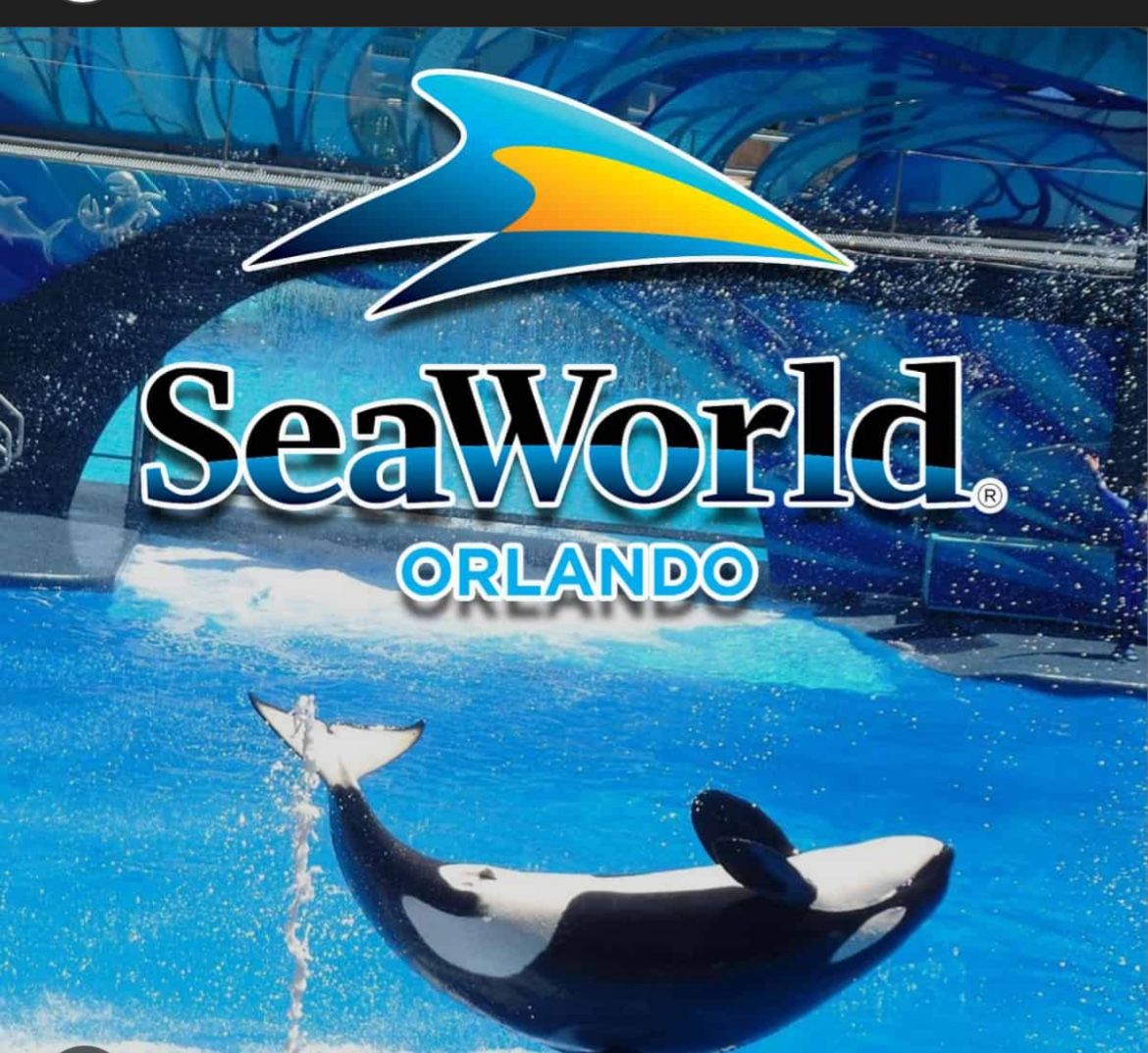 Sea World Tickets SeaWorld