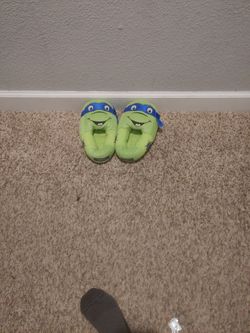 Ninja Turtle Slippers