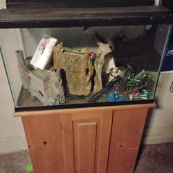 FISH TANKS 