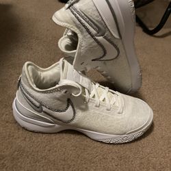 Nike Lebron