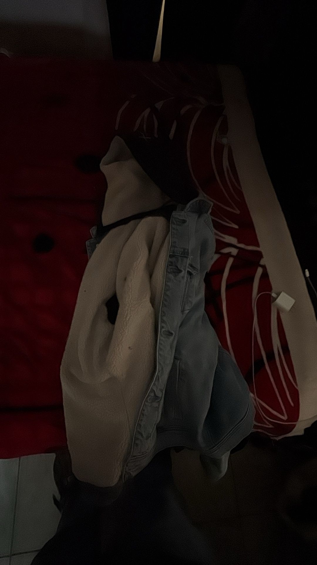 Hollister Deniem Hoodie