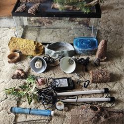 Reptile Terrarium