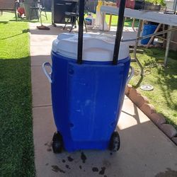 Igloo Beverage Roller