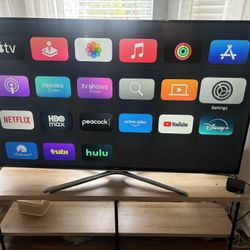 65 Inch TV with Table