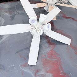 Ceiling Fan. (2)