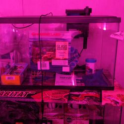 Ten Gallon Tank
