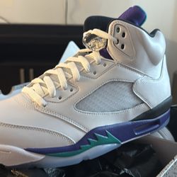 Air Jordan 5 Grape Size 12