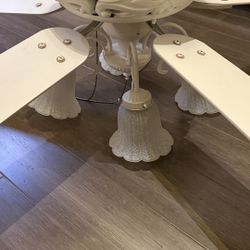 Beautiful Ceiling Fan $50