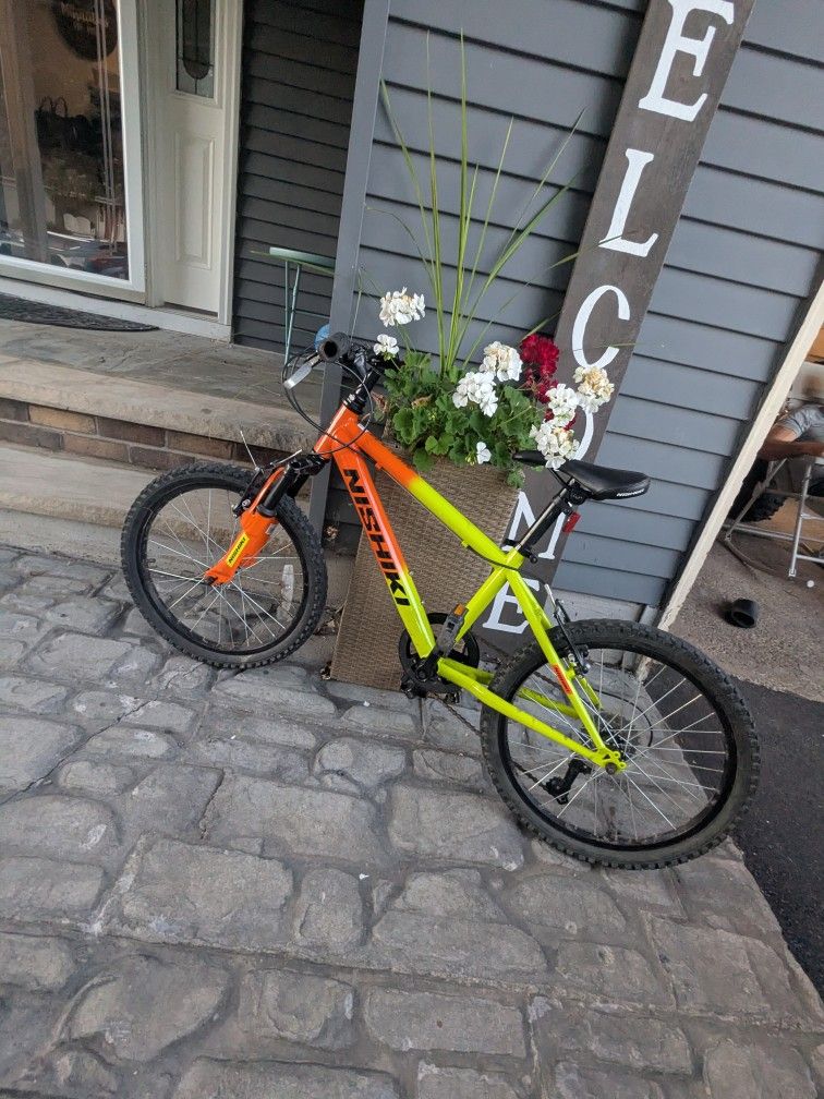 Pedal Bike For Sale