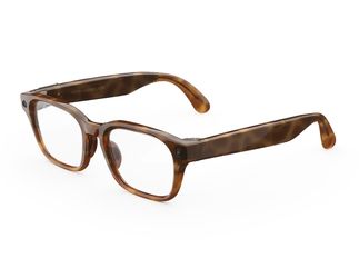 Meta glasses adventurer