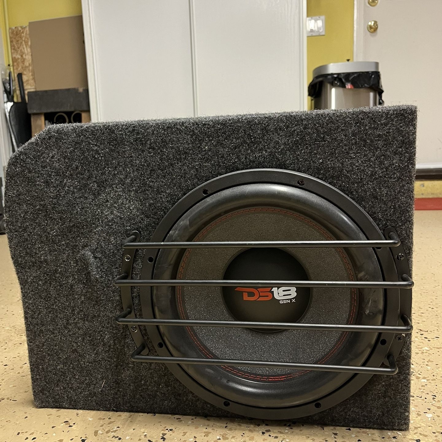 12” Subwoofer DS-18 With Custom Enclosure Box 