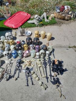 Halloween skulls and decor